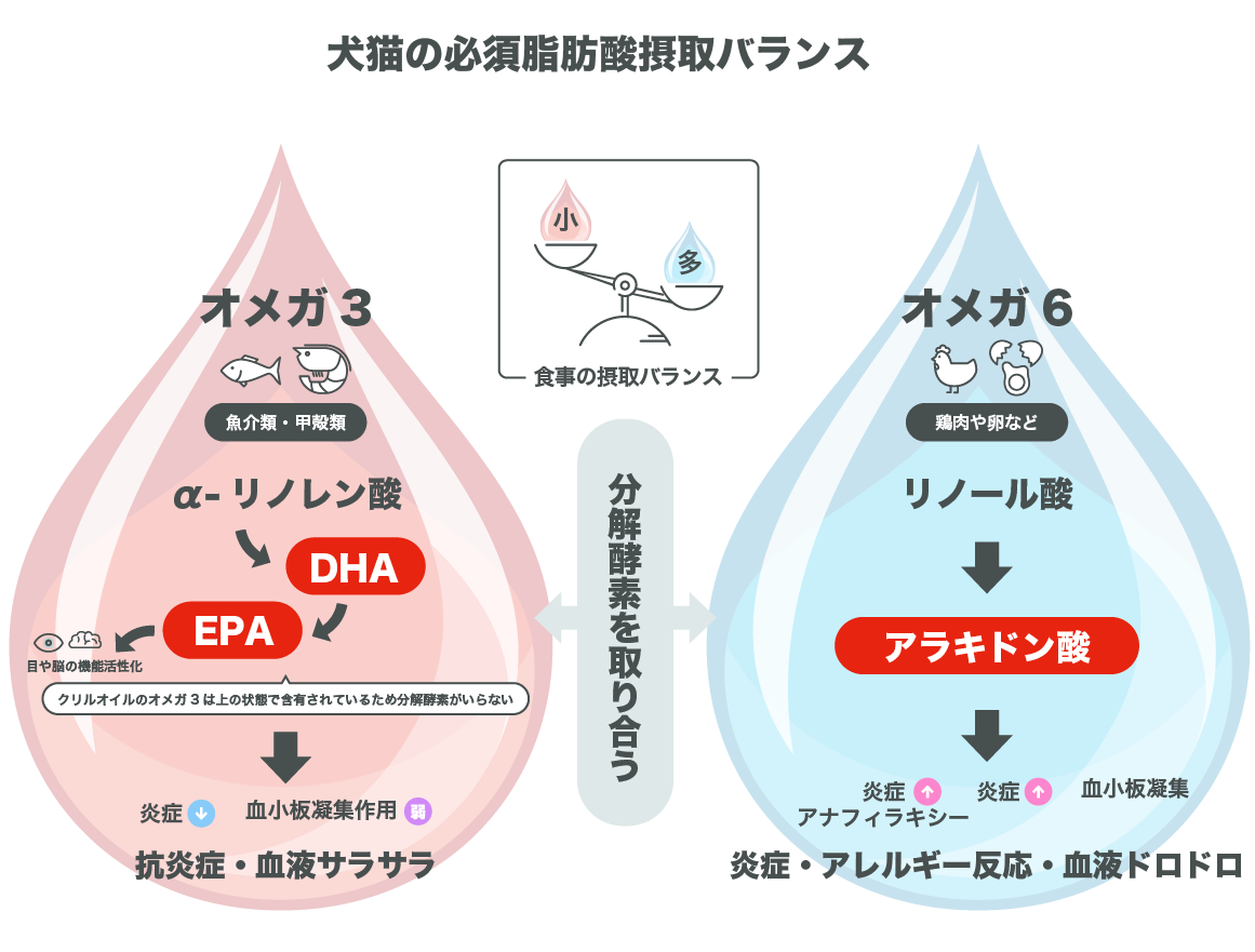 オメガ3から合成されるDHA・EPAは抗炎症作用があり、オメガ6の炎症の原因物質が生成される。食事からの摂取バランスはオメガ6のほうが多い